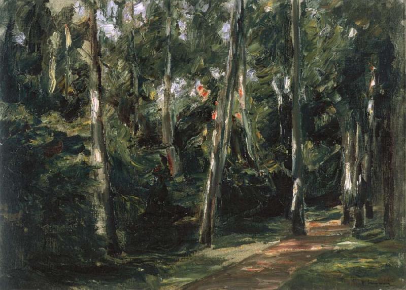 Max Liebermann The Birch-Lined Avenue in the Wannsee Garden Facing Southwest Germany oil painting art